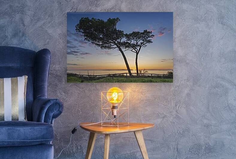 Two pine trees on Follonica beach at sunset. Tuscany Italy by Stefano Orazzini
