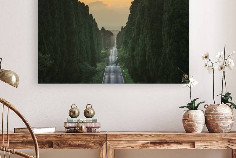 The Avenue of Bolgheri at sunset. Tuscany by Stefano Orazzini