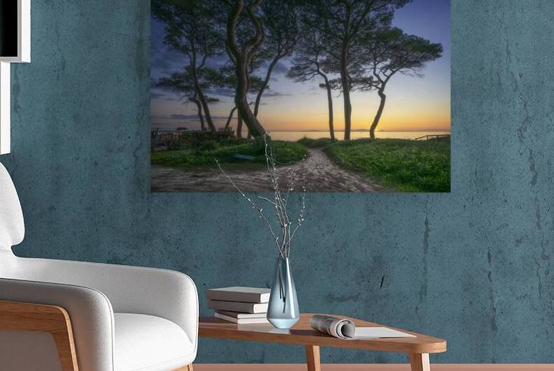 Path towards the sea and pine trees at sunset. Tuscany by Stefano Orazzini