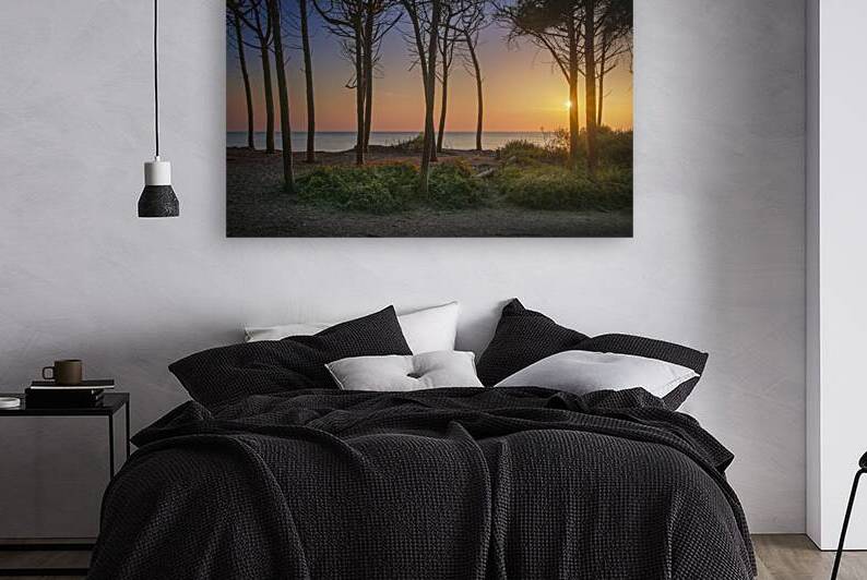 Pine trees and sea at sunset in Tuscany by Stefano Orazzini