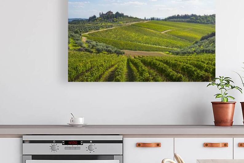 Radda in Chianti vineyards landscape. Tuscany Italy by Stefano Orazzini
