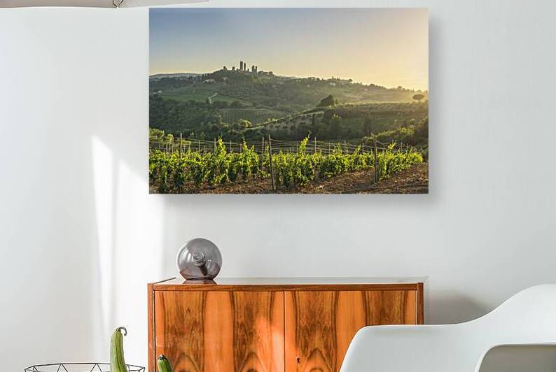 Vineyards in the San Gimignano Countryside. Tuscany Italy by Stefano Orazzini