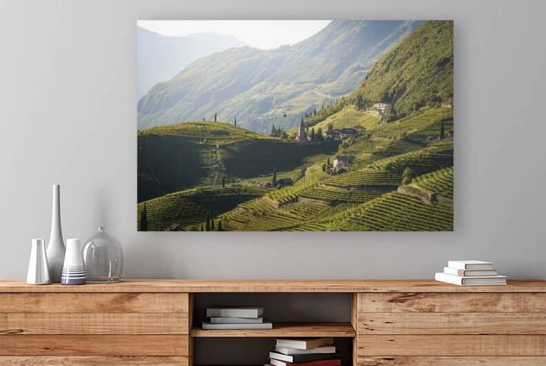 Vineyards in Santa Maddalena. Bolzano South Tyrol by Stefano Orazzini
