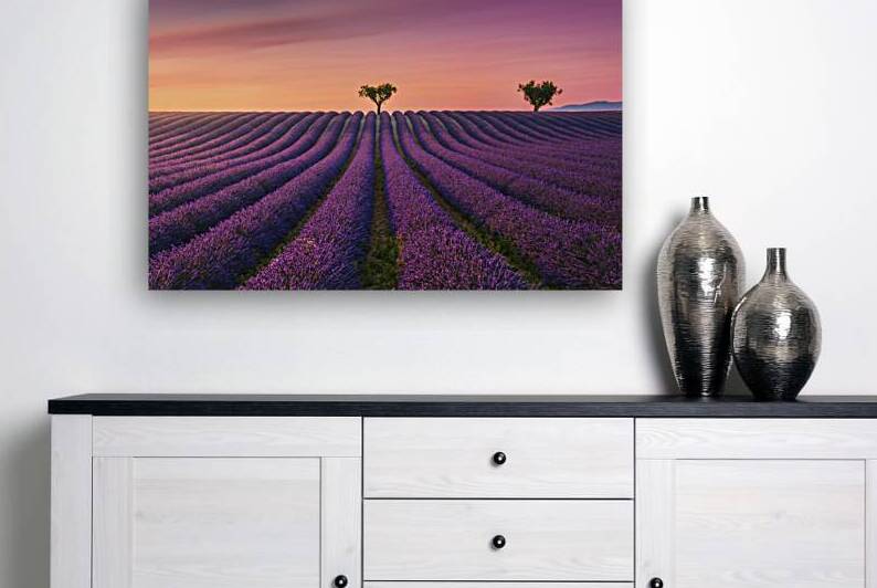 Lavender fields at sunset Valensole by Stefano Orazzini