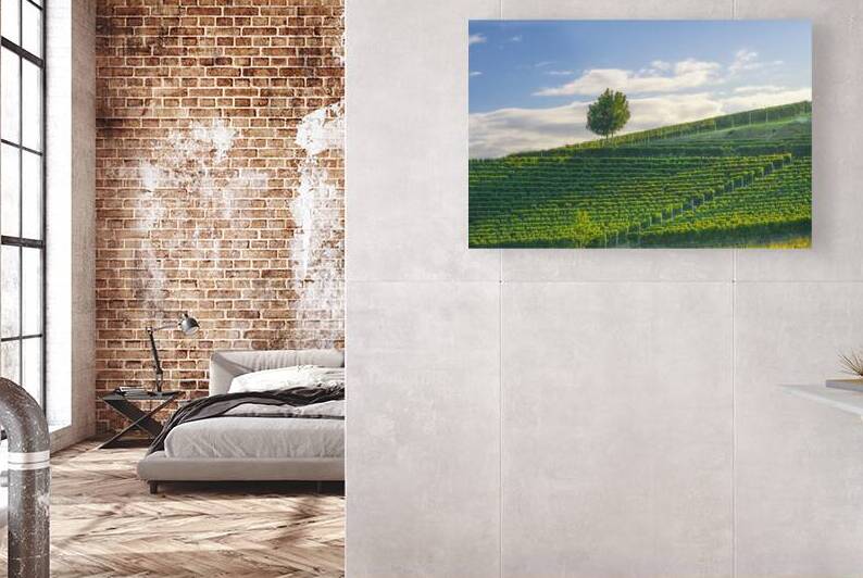 Golden Vineyards of Langhe by Stefano Orazzini