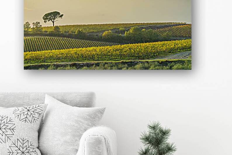 Chianti Vineyards at Sunset Tuscany Italy by Stefano Orazzini