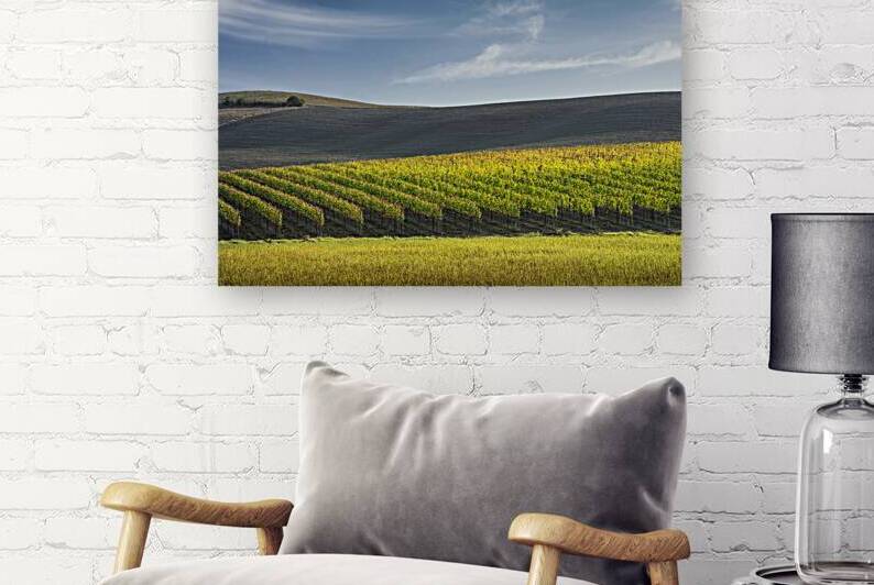 Tuscan Autumn Landscape Montalcino Vineyards Italy by Stefano Orazzini