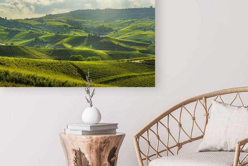 Langhe Vineyards. Barolo Hills Piedmont Italy Landscape by Stefano Orazzini