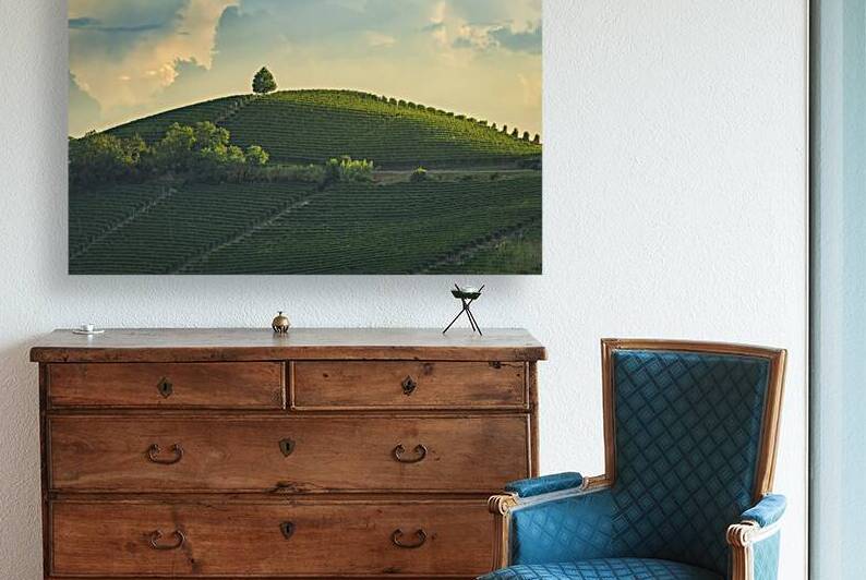 Sentinel of Barbaresco: Lone Tree on a Contoured Hill of Langhe  by Stefano Orazzini