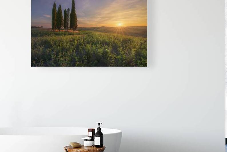 Tuscan Cypress Grove at Sunset in Bibbona Countryside Italy by Stefano Orazzini