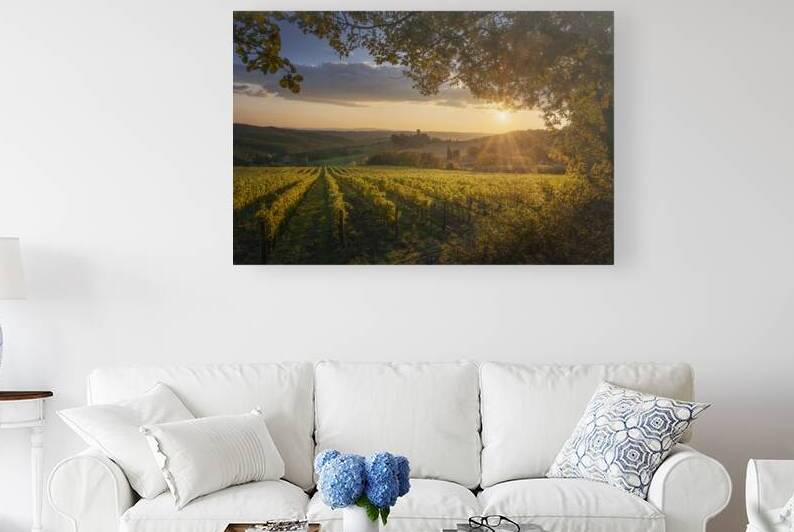 Sunset Chianti View Badia a Passignano Abbey and Golden Vineyar by Stefano Orazzini