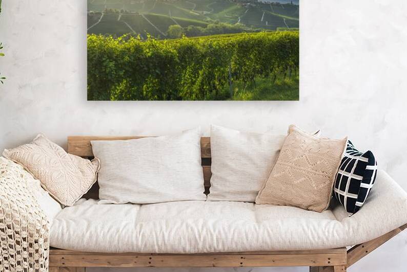 Vineyards in the Langhe hills and Barbaresco tower in the backgr by Stefano Orazzini