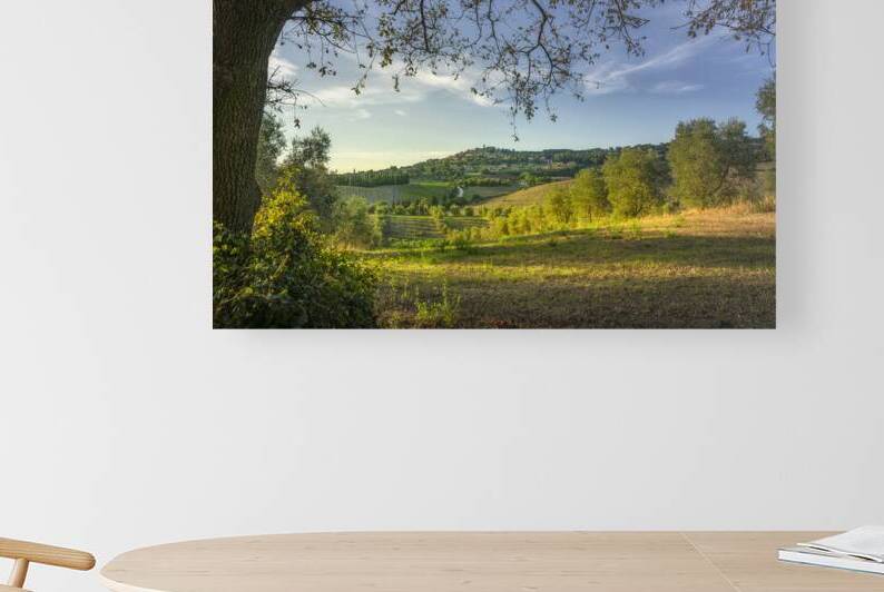 Oak Tree and Casale Marittimo Village over the Maremma Countrysi by Stefano Orazzini