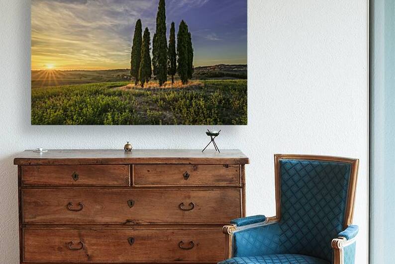 Iconic Sunset Cypress Grove in Maremma by Stefano Orazzini