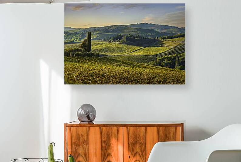 Autumn Vineyards in Panzano in Chianti by Stefano Orazzini
