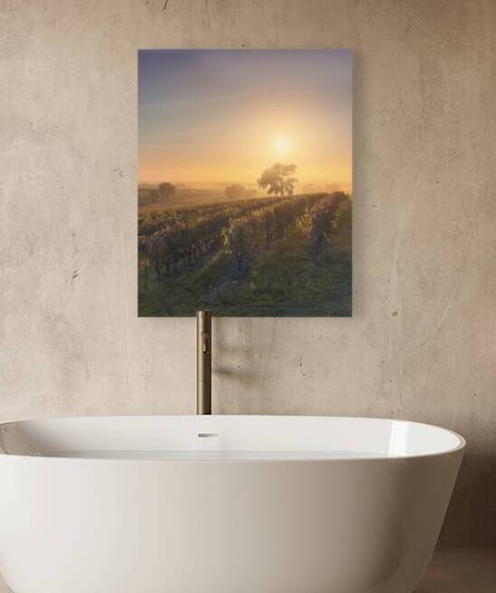 Bolgheri vineyards and a tree in a foggy sunset by Stefano Orazzini