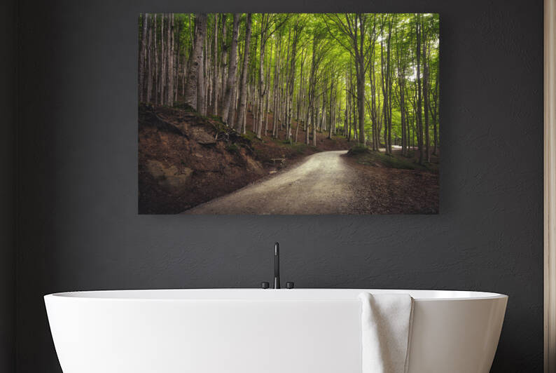 Road in the Casentino forest. Apennines Italy by Stefano Orazzini