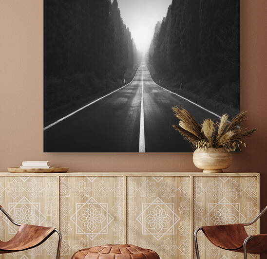 Foggy Bolgheri Boulevard by Stefano Orazzini