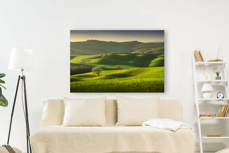 Springtime in Tuscany rolling hills and a tree. Pienza Italy by Stefano Orazzini