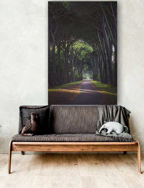 San Rossore park footpath in pine tree forest. Pisa Tuscany by Stefano Orazzini