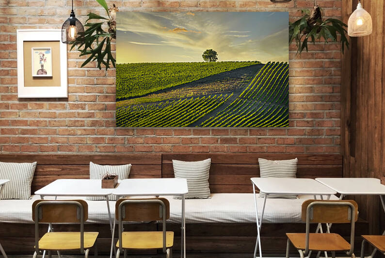 Vineyards and tree at sunset. Landscape in Chianti by Stefano Orazzini