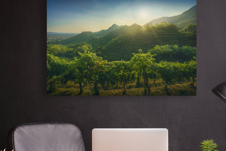 Prosecco Hills vineyards at sunset. Unesco Site. Veneto Italy by Stefano Orazzini