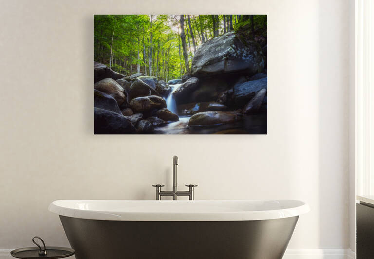 Stream waterfall inside a forest. Abetone Apennines Italy. by Stefano Orazzini