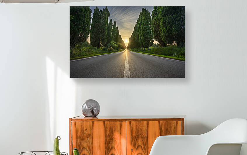 Bolgheri cypresses tree-lined boulevard. Tuscany. by Stefano Orazzini