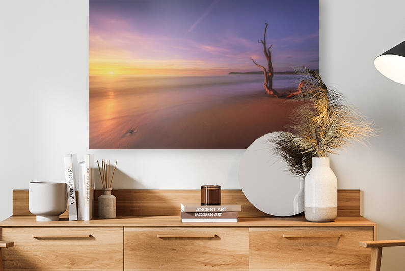 Baratti beach and old tree trunk at sunset. Italy by Stefano Orazzini