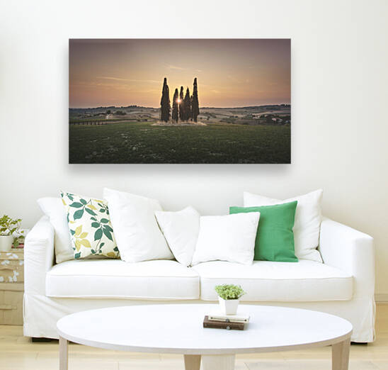 The sun among the cypresses. Tuscany by Stefano Orazzini