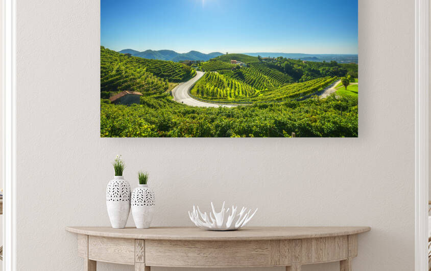 Vineyards and road. Prosecco Hills. Valdobbiadene  by Stefano Orazzini