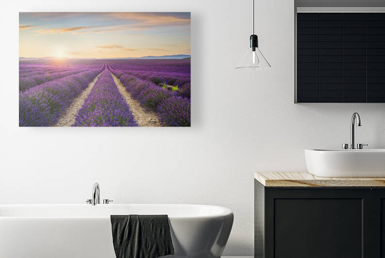 Lavender flower field and setting sun. Provence by Stefano Orazzini