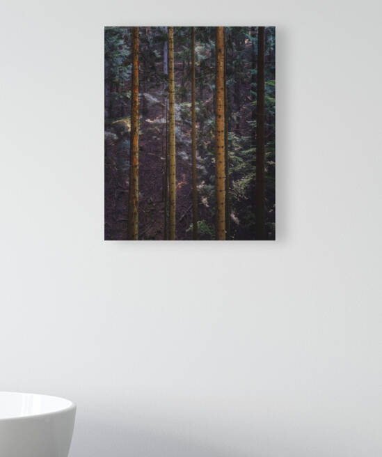 Acquerino nature reserve forest. Tree trunks vertical pattern. by Stefano Orazzini