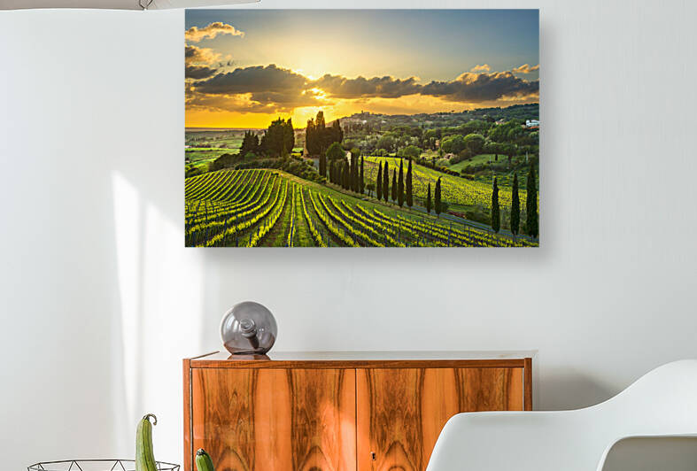 Vineyard at sunset in Maremma. Tuscany by Stefano Orazzini