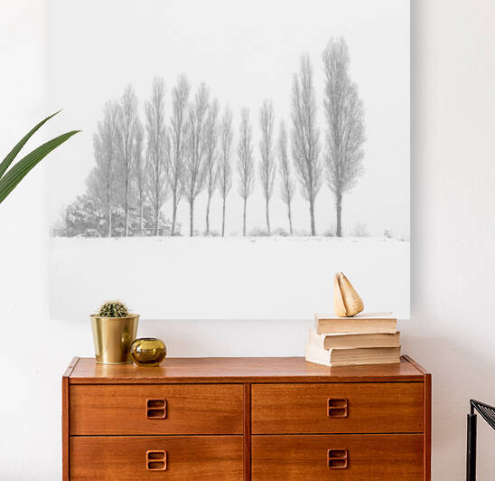 13 Trees Under the Snowfall by Stefano Orazzini