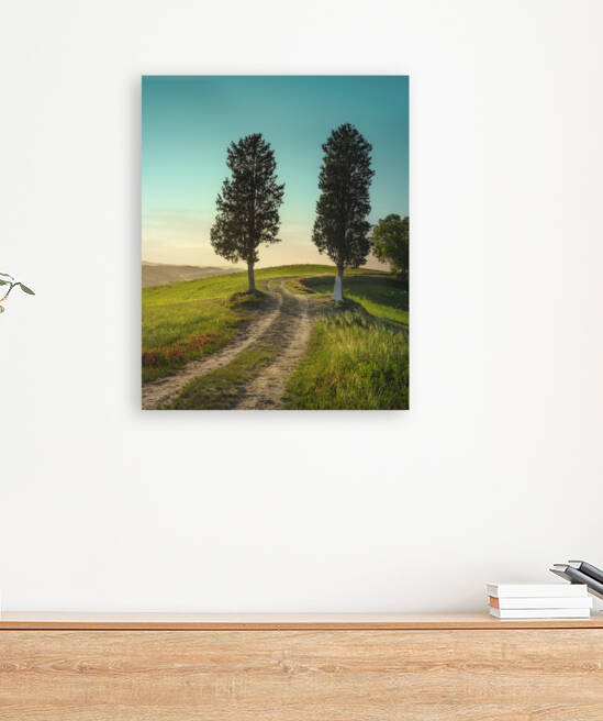 Two trees on the route of the via Francigena near Buonconvento.  by Stefano Orazzini