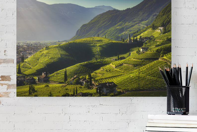 Vineyards view in Santa Maddalena Bolzano. Italy by Stefano Orazzini