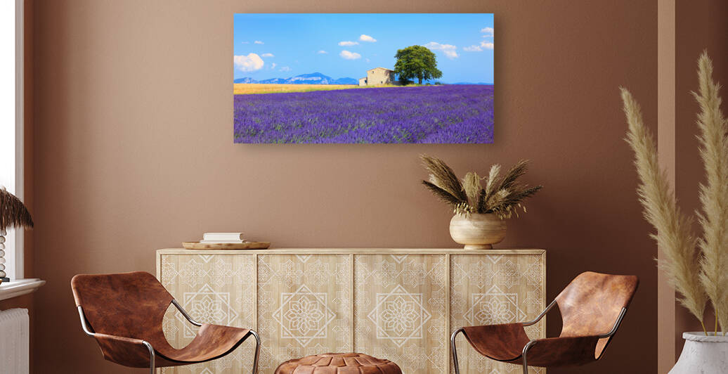 Lavender flowers in bloom. House and tree. France by Stefano Orazzini
