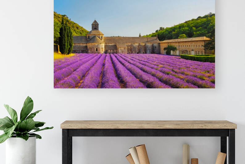 Abbey of Senanque and lavender flowers. France by Stefano Orazzini