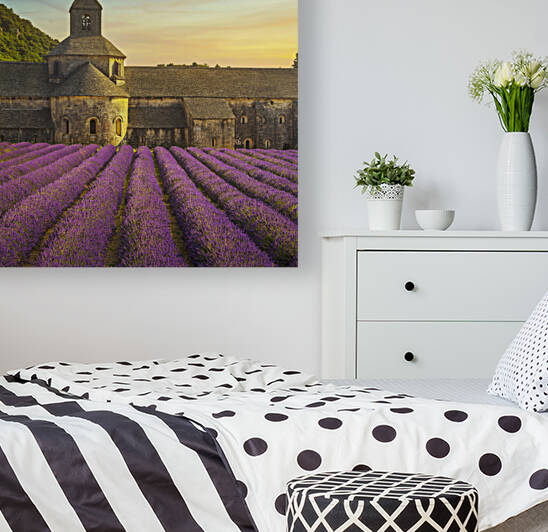 Abbey of Senanque and lavender flowers. France by Stefano Orazzini