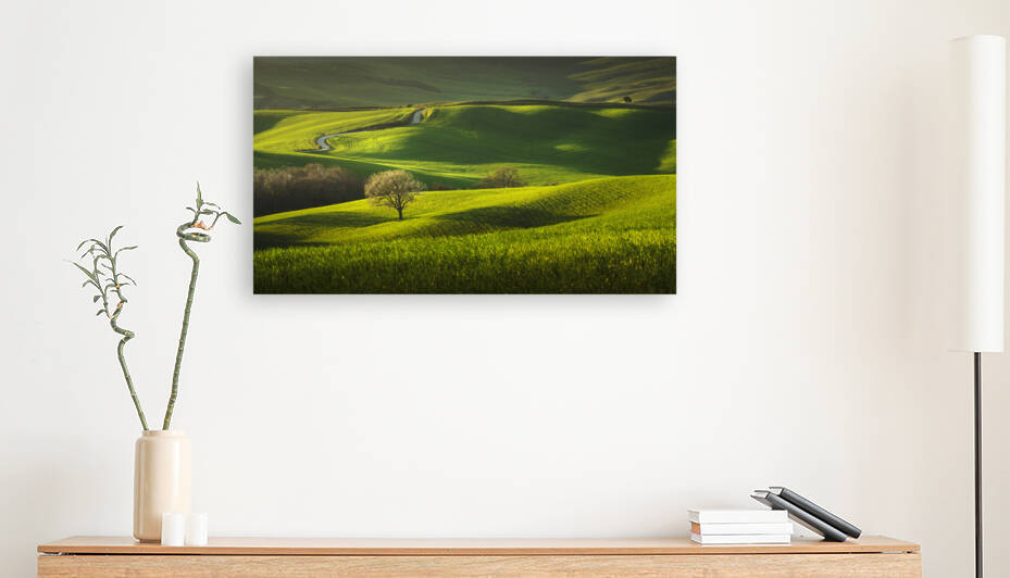 Spring in Tuscany. Rolling hills and trees. Pienza Italy by Stefano Orazzini