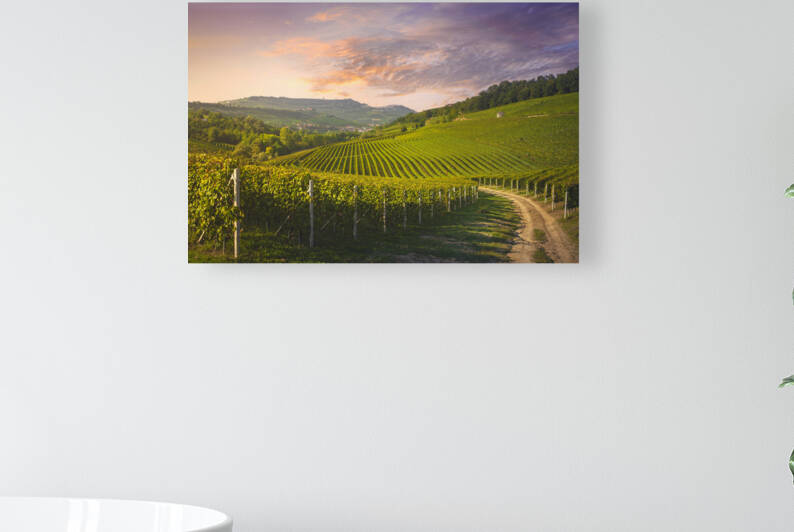 Langhe vineyards view and rural road. Barolo Italy by Stefano Orazzini