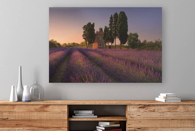 Lavender field and cypress trees. Tuscany by Stefano Orazzini