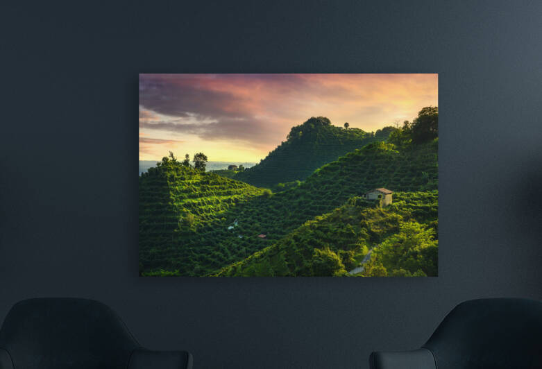 Prosecco Hills vineyards at sunset. Italy by Stefano Orazzini