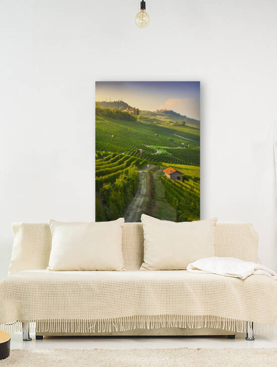 Path in the Langhe vineyards. Barolo Italy by Stefano Orazzini