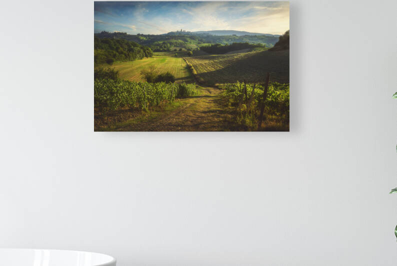 Panoramic view of Chianti and Vernaccia vineyards. San Gimignano by Stefano Orazzini