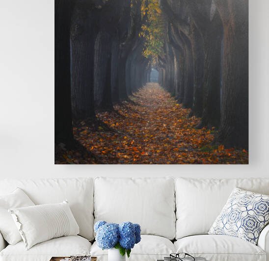 Autumn foliage in tree lined walkway. Lucca Italy by Stefano Orazzini