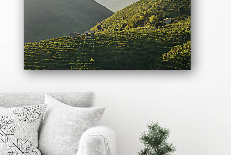 Vineyards and a few small rural cottages on the Prosecco hills.  by Stefano Orazzini