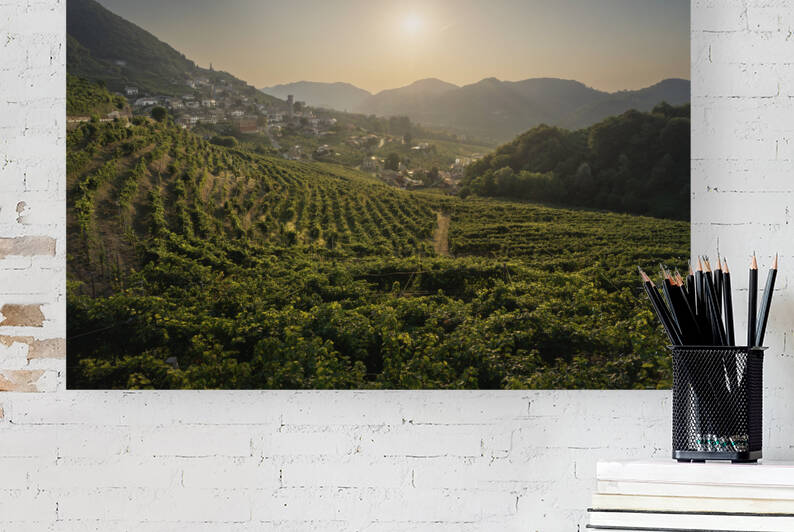 Vineyards and Santo Stefano village in Prosecco hills. Italy by Stefano Orazzini
