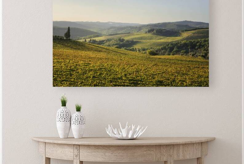 Panzano in Chianti vineyards landscape at sunset. Tuscany by Stefano Orazzini